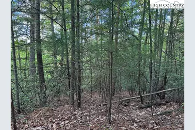 Lot 27 Wolf Pen Road, Purlear, NC 28665 - Photo 14