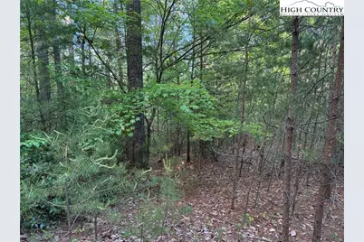 Lot 27 Wolf Pen Road, Purlear, NC 28665 - Photo 14