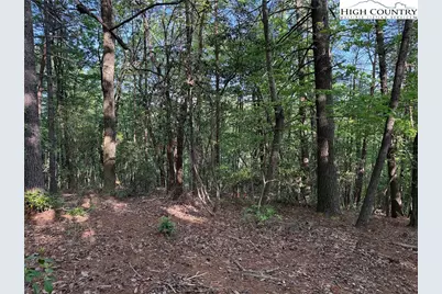 Lot 27 Wolf Pen Road, Purlear, NC 28665 - Photo 18