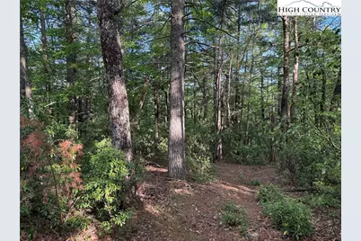 Lot 27 Wolf Pen Road, Purlear, NC 28665 - Photo 16