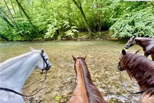 2013 Hitching Post Trl, Lenoir, NC 28645 - Photo 40