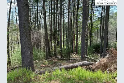 Tbd New River Overlook (Lot 11) Road, West Jefferson, NC 28694 - Photo 10