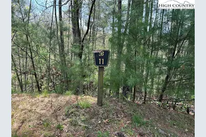 Tbd New River Overlook (Lot 11) Road, West Jefferson, NC 28694 - Photo 1