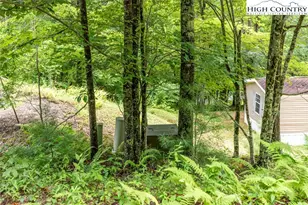 367 Call Creek Rd, Fleetwood, NC 28626 - Photo 14