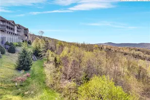 335 Pleasant View Dr, Sugar Mountain, NC 28604 - Photo 28