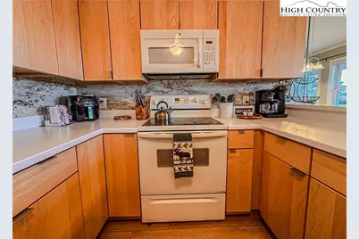 301 Pinnacle Inn Road #3320, Beech Mountain, NC 28604 - Photo 8