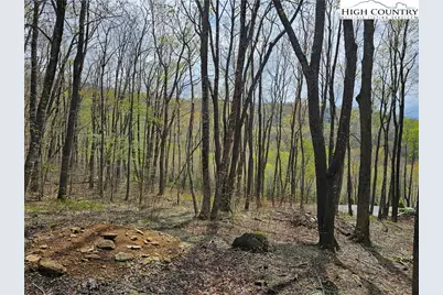65 Rippling Waters Trail, Banner Elk, NC 28604 - Photo 12