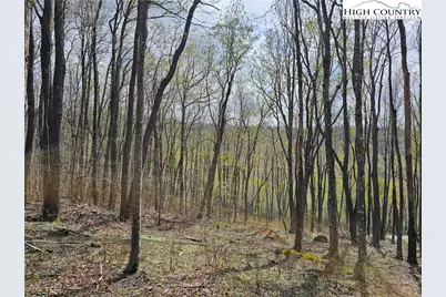 65 Rippling Waters Trail, Banner Elk, NC 28604 - Photo 2