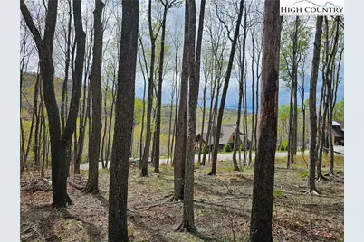 65 Rippling Waters Trail, Banner Elk, NC 28604 - Photo 6