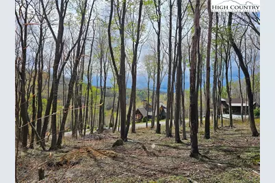 65 Rippling Waters Trail, Banner Elk, NC 28604 - Photo 8