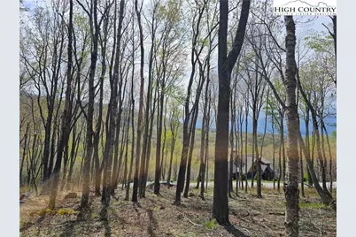 65 Rippling Waters Trail, Banner Elk, NC 28604 - Photo 6