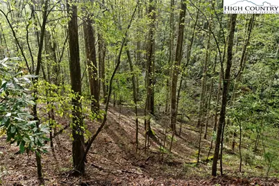 Tbd Springhollow Road, Banner Elk, NC 28604 - Photo 26