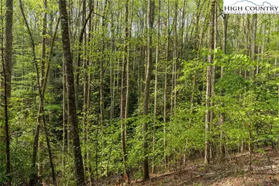 Tbd Springhollow Road, Banner Elk, NC 28604 - Photo 10
