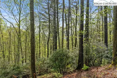 Tbd Springhollow Road, Banner Elk, NC 28604 - Photo 2