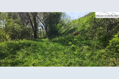 547 White Laurel Lane, Boone, NC 28607 - Photo 4