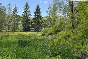 144 S Slope Loop, Banner Elk, NC 28604 - Photo 32