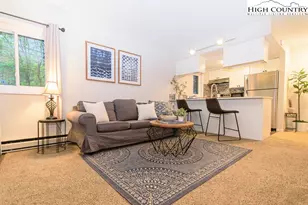 144 S Slope Loop, Banner Elk, NC 28604 - Photo 8