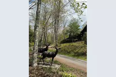 Tbd Lot 23 Black Bear Trail, Linville, NC 28646 - Photo 10