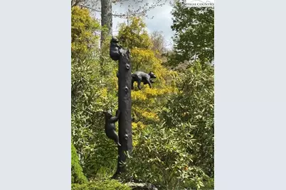 Tbd Lot 23 Black Bear Trail, Linville, NC 28646 - Photo 12