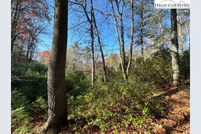 Lot 27 Walden Lane, West Jefferson, NC 28694 - Photo 6