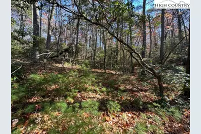 Lot 27 Walden Lane, West Jefferson, NC 28694 - Photo 2