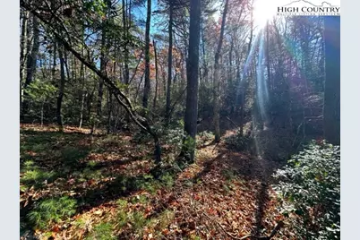 Lot 27 Walden Lane, West Jefferson, NC 28694 - Photo 4