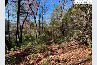 Lot 31 Thoreau Court, West Jefferson, NC 28694 - Photo 4