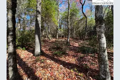 Lot 31 Thoreau Court, West Jefferson, NC 28694 - Photo 2