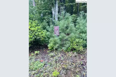 Lot 31 Thoreau Court, West Jefferson, NC 28694 - Photo 1