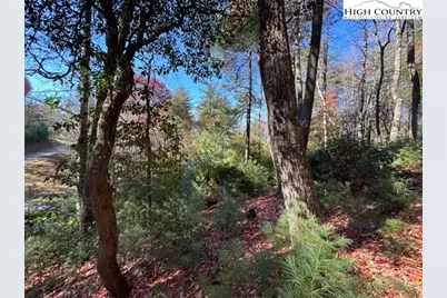Lot 32 Thoreau Court, West Jefferson, NC 28694 - Photo 8