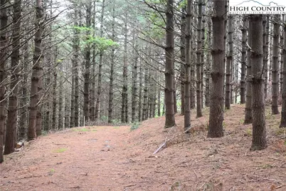 102 Tielcroft Road, Crumpler, NC 28617 - Photo 4