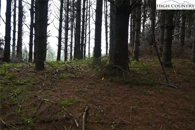 102 Tielcroft Road, Crumpler, NC 28617 - Photo 12