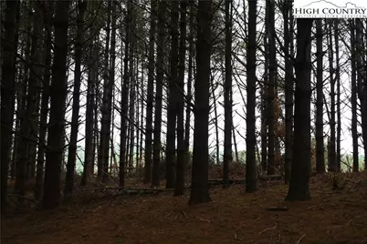 102 Tielcroft Road, Crumpler, NC 28617 - Photo 10