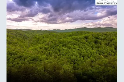 289 Ninebark Road, Boone, NC 28607 - Photo 8