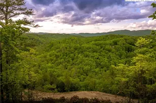 289 Ninebark Rd, Boone, NC 28607 - Photo 1