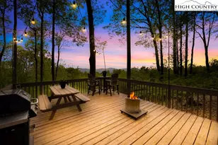844 Pine Ridge Rd, Beech Mountain, NC 28604 - Photo 6