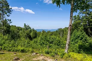 77 N Eagles Nest Trail, Banner Elk, NC 28604 - Photo 1