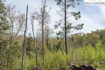 77 N Eagles Nest Trail, Elk Park, NC 28604 - Photo 12