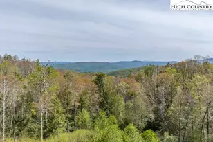77 N Eagles Nest Trail, Elk Park, NC 28604 - Photo 1