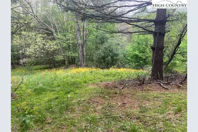 Tbd Old Hartley Road, Banner Elk, NC 28604 - Photo 6