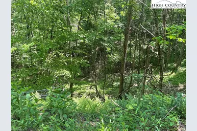 Lots 55 & 57 Meadow Crest Drive, Jefferson, NC 28640 - Photo 10