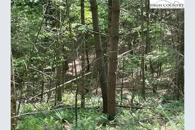 Lots 55 & 57 Meadow Crest Drive, Jefferson, NC 28640 - Photo 14