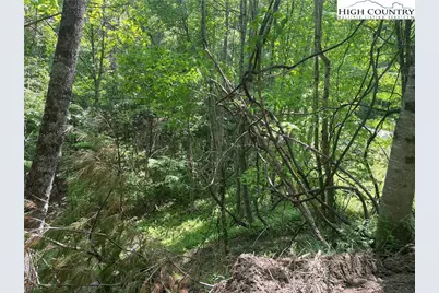 Lots 55 & 57 Meadow Crest Drive, Jefferson, NC 28640 - Photo 8