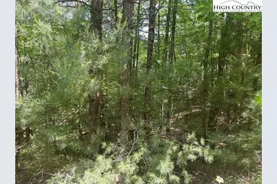 Lots 55 & 57 Meadow Crest Drive, Jefferson, NC 28640 - Photo 4