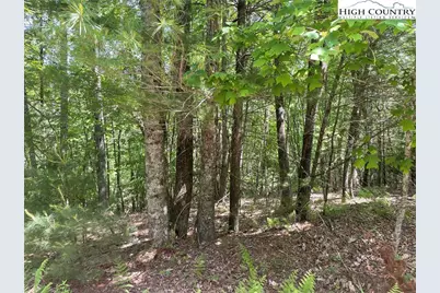 Lots 55 & 57 Meadow Crest Drive, Jefferson, NC 28640 - Photo 2