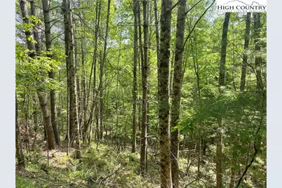 Lots 55 & 57 Meadow Crest Drive, Jefferson, NC 28640 - Photo 12