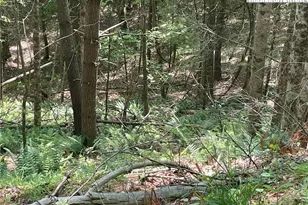 Lots 55 & 57 Meadow Crest Dr, Jefferson, NC 28640 - Photo 1