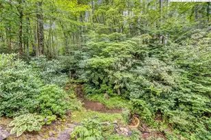 468 Twin Rivers Dr, Boone, NC 28607 - Photo 40