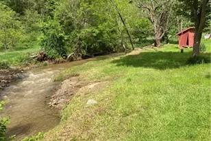 5854 US Hwy 421N Hwy, Vilas, NC 28692 - Photo 6