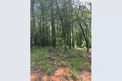 Tbd Round Hill Church Road, Traphill, NC 28685 - Photo 6